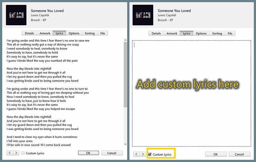 Add Custom Lyrics to Apple Music