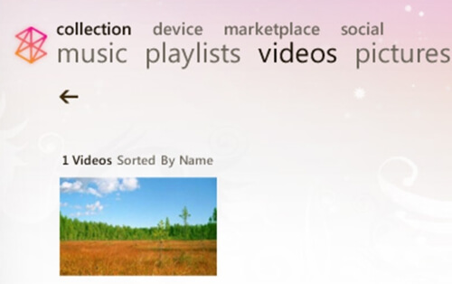 Add Movies to Zune Library