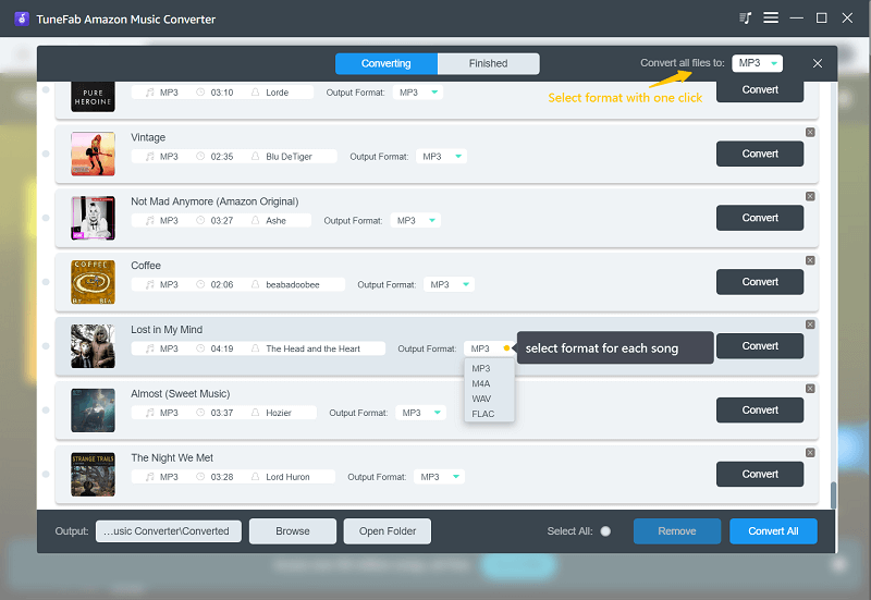 Select Output Format of Amazon Music