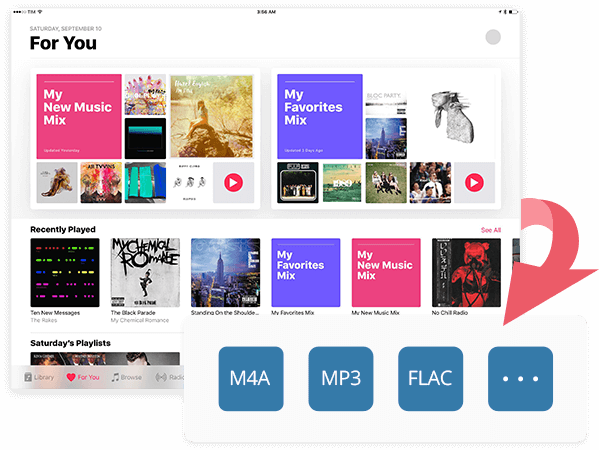 Best Workaround Is To Convert Apple Music to MP3