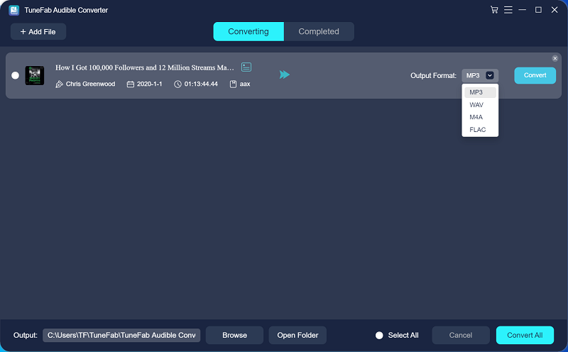 Select MP3 as Output Format