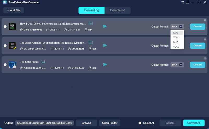 Select Format to Download Audible Books