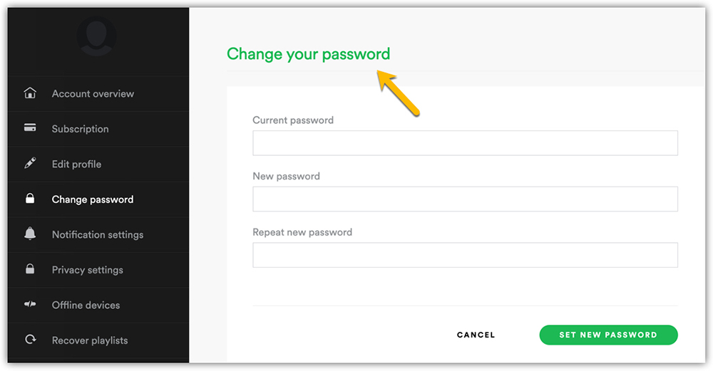 Set New Password on Spotfiy