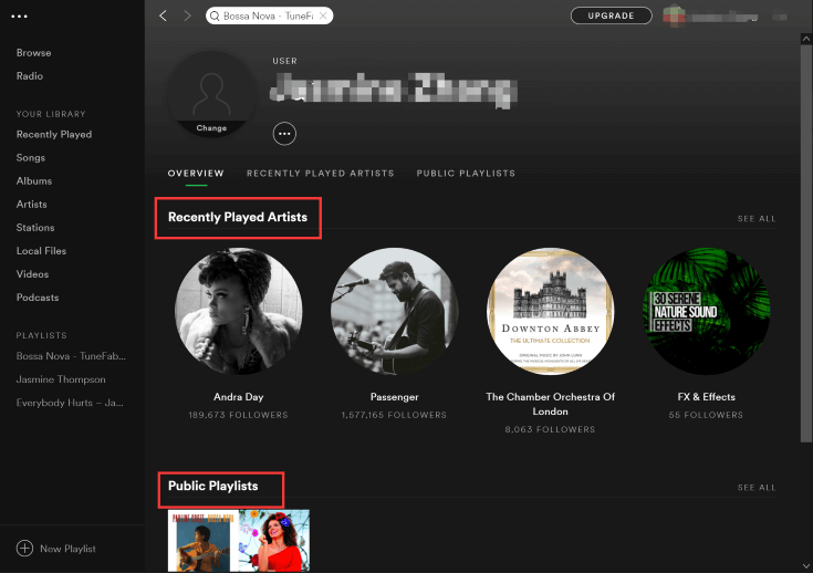 private listening spotify