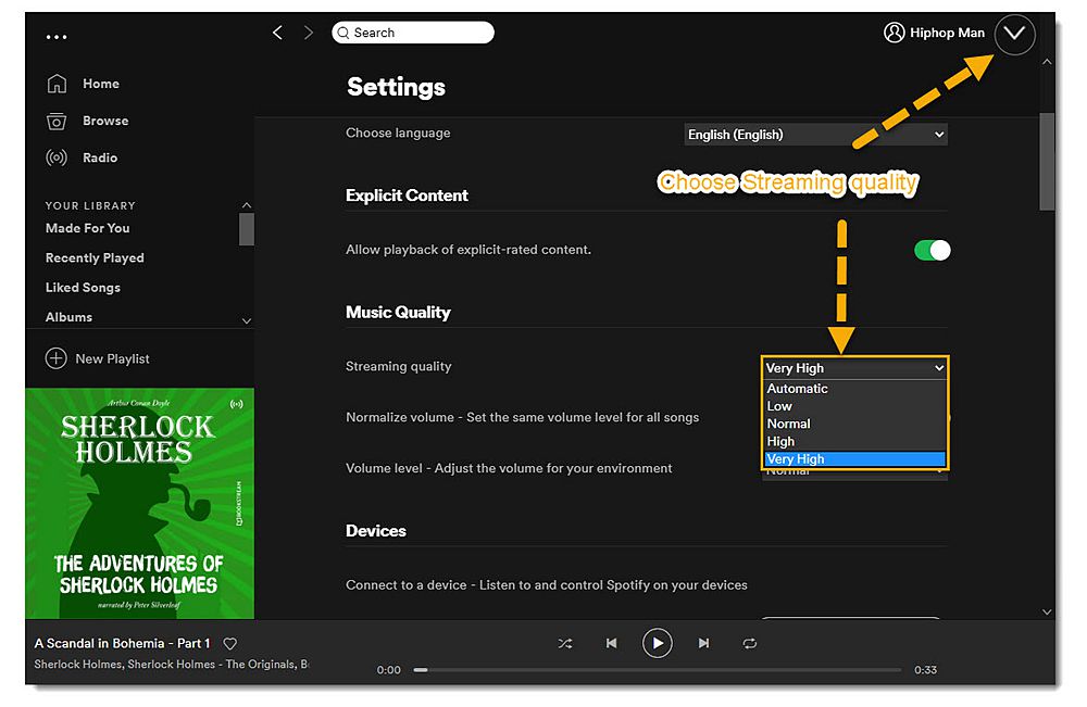 Choose Spotify Streaming Quality