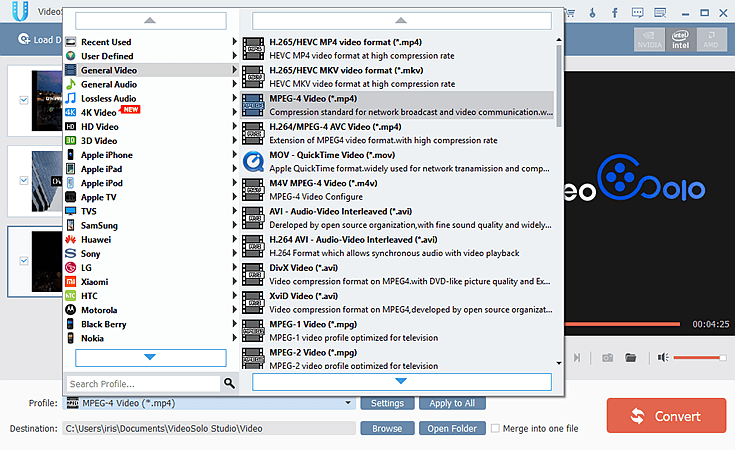 Select MKV as Output Format