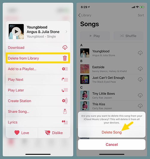 Delete Apple Music Tracks and Re-add Them
