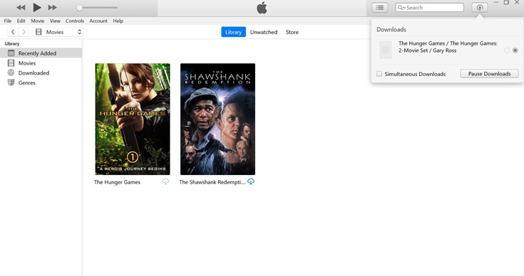 Downloading iTunes Movie