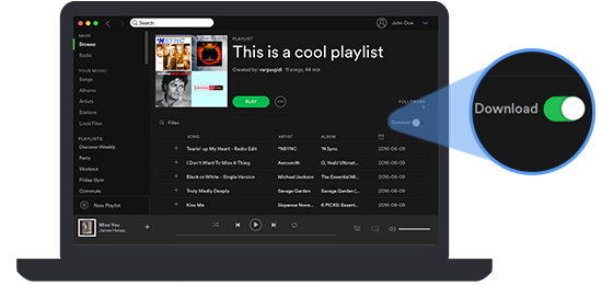 Download Spotify Songs on PC