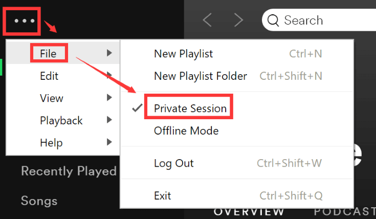 Enable Spotify Private Session Desktop