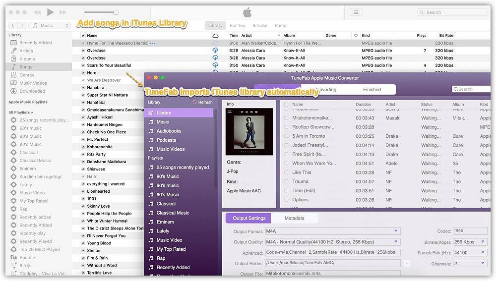 Aggiungi Taylor Swift Album alla libreria iTunes prima della conversione