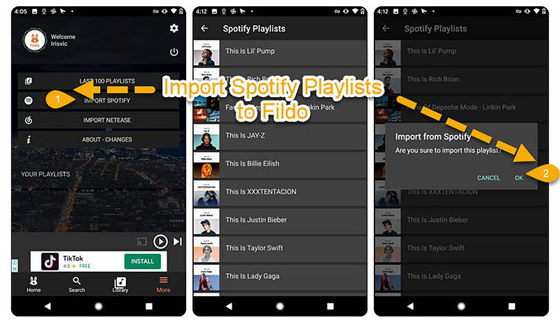 Download Spotify Playlist via Fildo