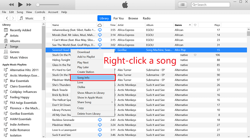 iTunes에서 노래 정보 확인