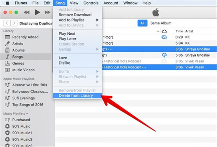 iTunes Delete Duplicated Songs from Library
