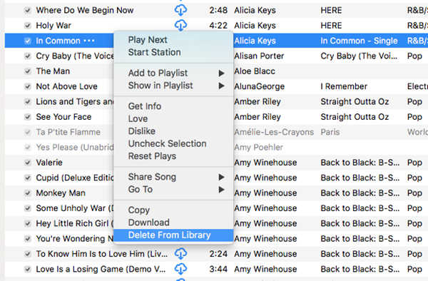 iTunes Delete Music from Library