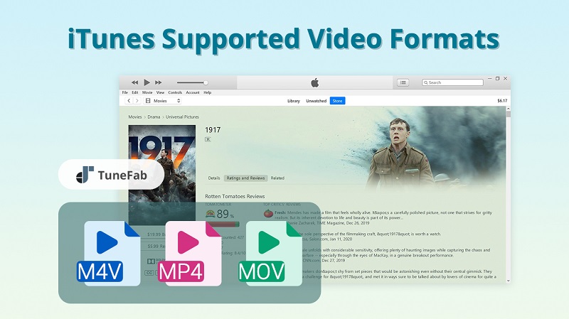 iTunes Supported Video Formats