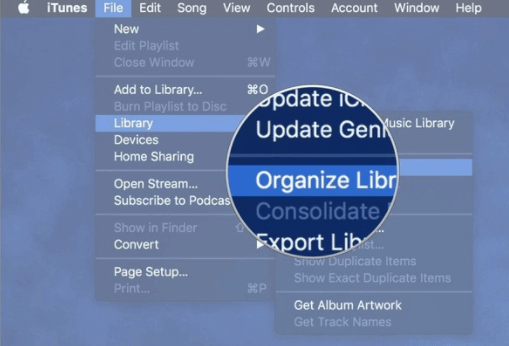 Organize Library in iTunes
