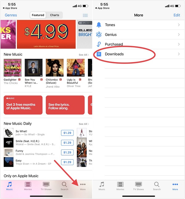 How to Download Movies From iTunes? Guides & FAQs