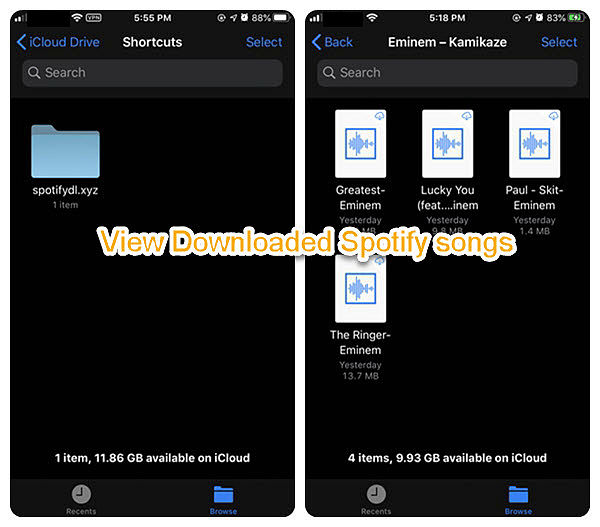 spotify music mp3 download