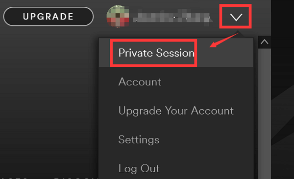 Set up Spotify Private Session