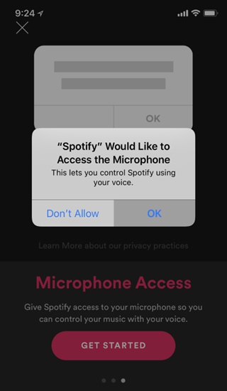 Spotify Access Microphone Request
