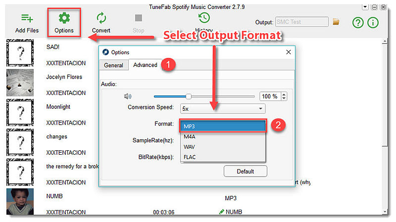 Choose Spotify Music Format