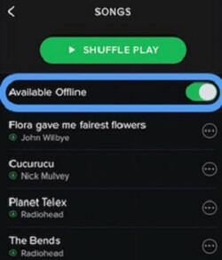 Spotify Offline Playlist from iPhone