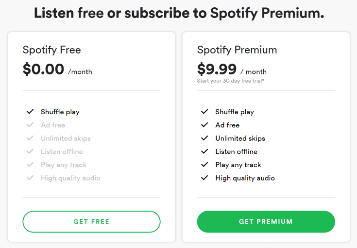 Spotify Premium Subscription