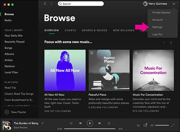 Spotify Settings Interface for Computer