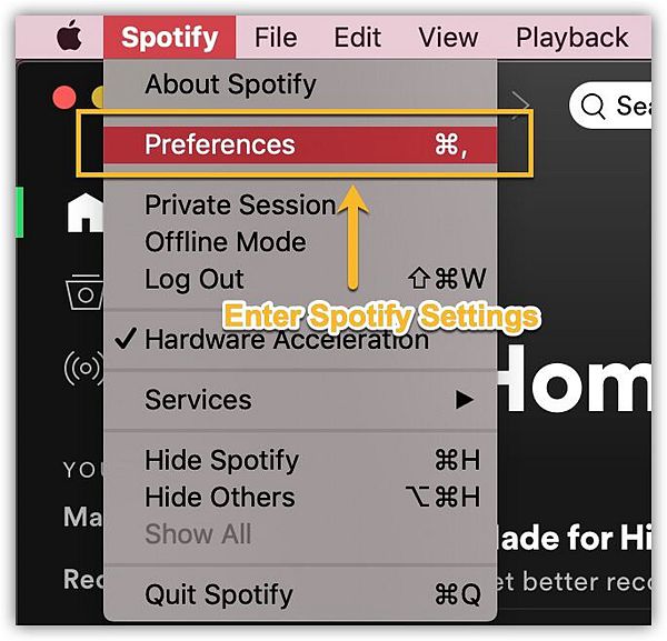 Spotify Settings Mac