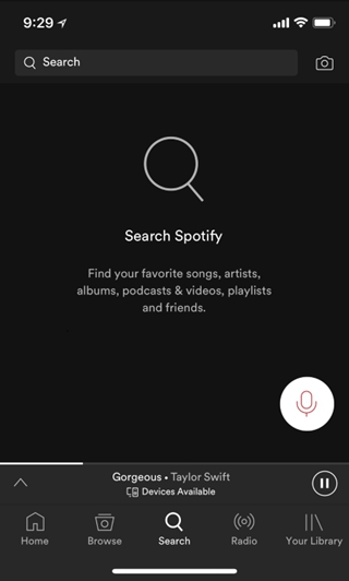 Spotify Voice Search on iOS