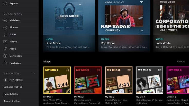 Tidal Review