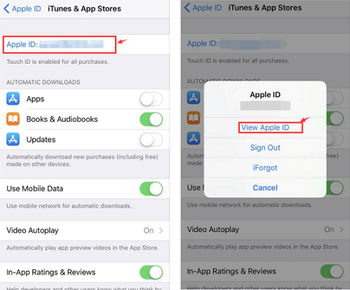 View Your Apple ID in Your Iphone