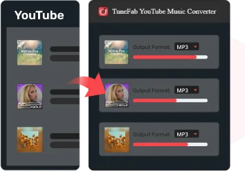 Download Any Content from YouTube Music