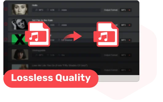 Output Audio Files Without Quality Loss
          