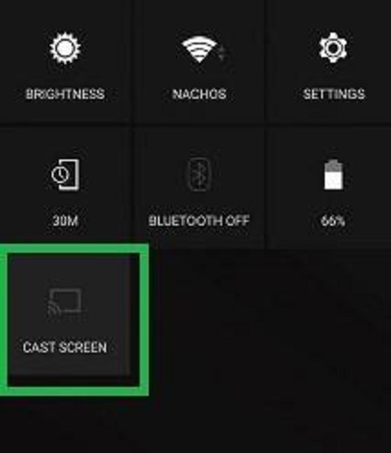 Cast Screen to Roku for Android