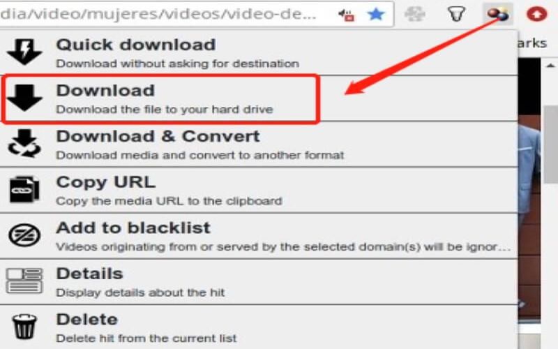 Download Icon Video DownloadHelper