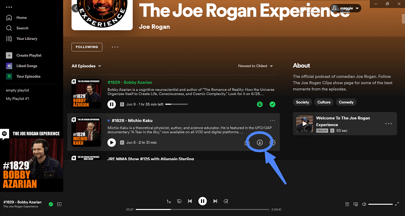 Download Spotify Podcasts on Computer