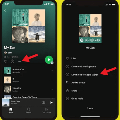 Download Spotify Playlists on Apple Watch with Premium