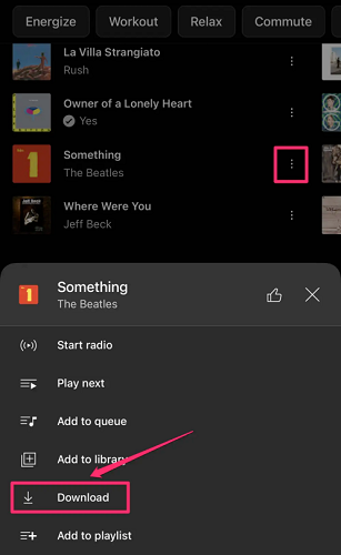 Download YouTube Music on iPhone