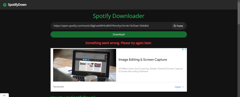Online Converter SpotifyDown Interface