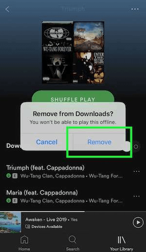Remove Spotify downloads