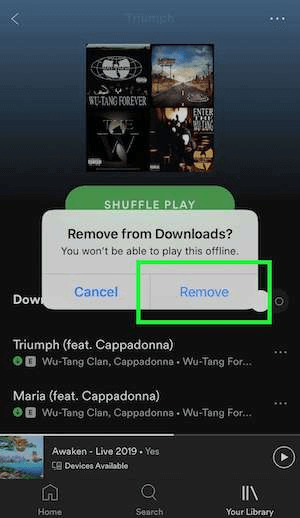 Como manter os downloads do Spotify para sempre sem perder nenhuma música