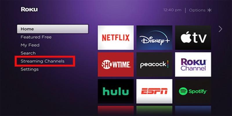 Roku Home Screen