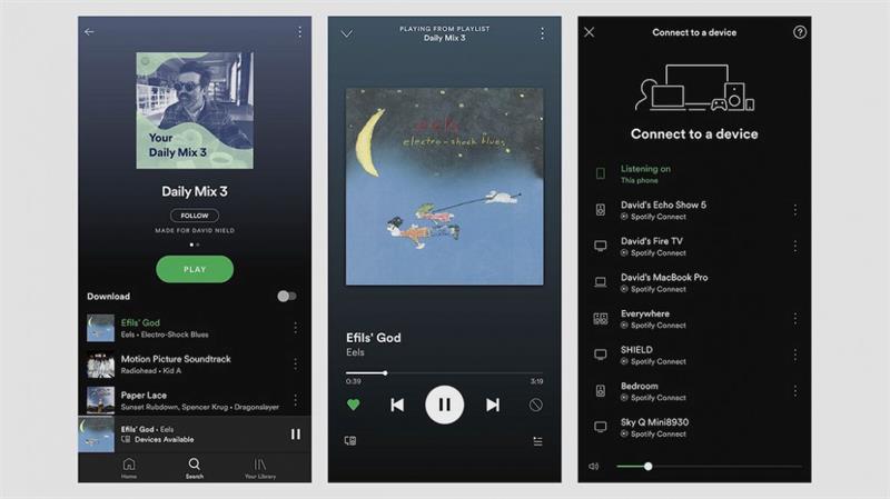 Spotify Connect with Speakers