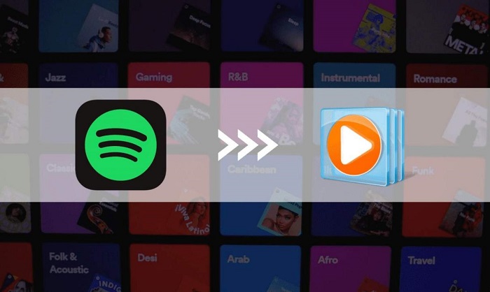 Play Spotify on Windows Media Player