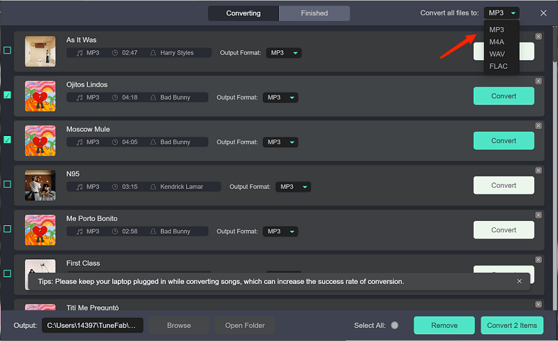 Select Output Format for Downloaded Songs