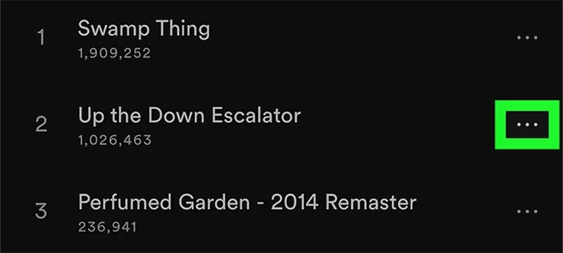 Tap Three-Dot Icon on Spotify Playlists