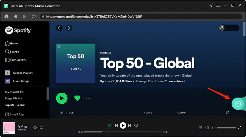 Add Spotify Songs to Conversion List