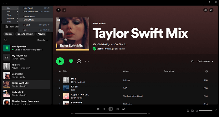 Turn On Spotify Offline Mode